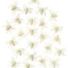 Glow In The Dark Spiders - 24 Pack -Chic Halloween Costumes 01251032 a