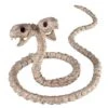 Two-Headed Snake Skeleton - Decorations