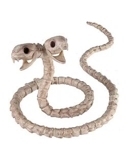 Two-Headed Snake Skeleton - Decorations
