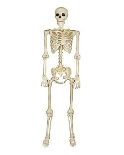 New Products 7 5 Ft Blacklight Skeleton