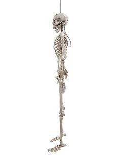 5 Ft. Digieye Hanging Skeleton Decoration 9 5 Ft. Digieye Hanging Skeleton Decoration -Chic Halloween Costumes 01547751 d