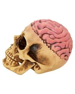 Skull With Brain Decoration 9 Skull With Brain Decoration -Chic Halloween Costumes 01573070 d